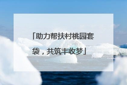 助力帮扶村桃园套袋，共筑丰收梦