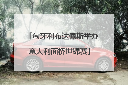 匈牙利布达佩斯举办意大利面桥世锦赛