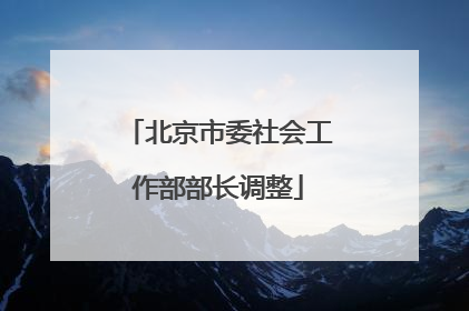 北京市委社会工作部部长调整