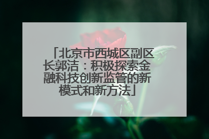 北京市西城区副区长郭洁：积极探索金融科技创新监管的新模式和新方法