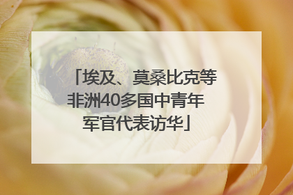埃及、莫桑比克等非洲40多国中青年军官代表访华