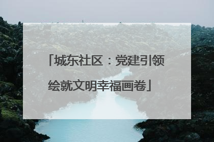 城东社区：党建引领绘就文明幸福画卷
