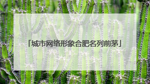 城市网络形象合肥名列前茅