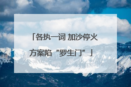 各执一词 加沙停火方案陷“罗生门”