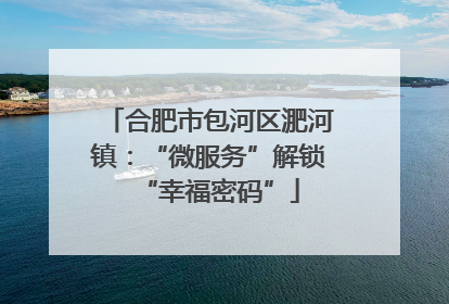 合肥市包河区淝河镇：“微服务”解锁“幸福密码”