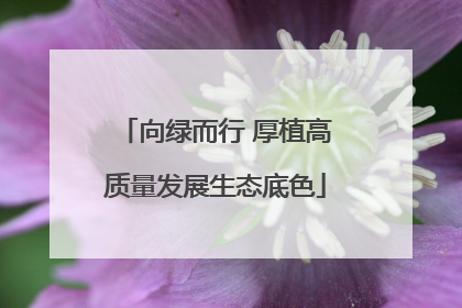 向绿而行 厚植高质量发展生态底色