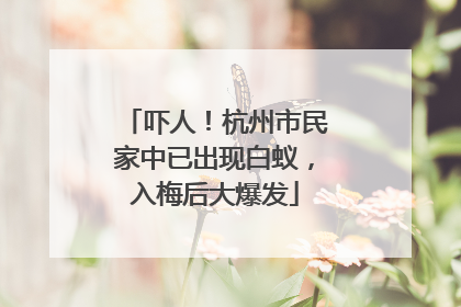 吓人！杭州市民家中已出现白蚁，入梅后大爆发