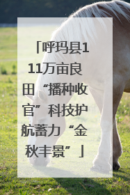 呼玛县111万亩良田“播种收官”科技护航蓄力“金秋丰景”
