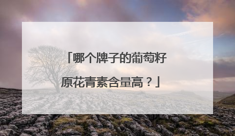 哪个牌子的葡萄籽原花青素含量高？