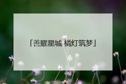 善耀星城 橘灯筑梦