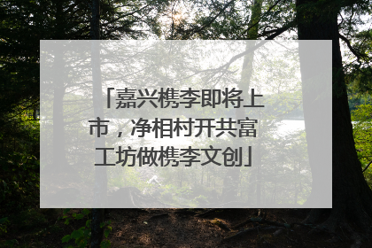 嘉兴槜李即将上市，净相村开共富工坊做槜李文创