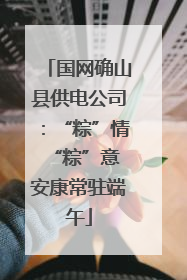 国网确山县供电公司：“粽”情“粽”意 安康常驻端午