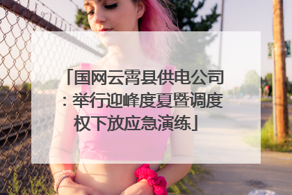 国网云霄县供电公司：举行迎峰度夏暨调度权下放应急演练
