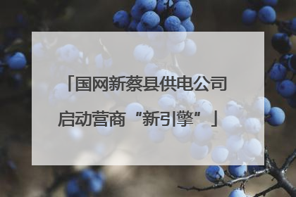 国网新蔡县供电公司启动营商“新引擎”