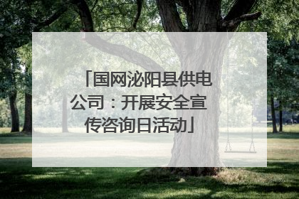 国网泌阳县供电公司：开展安全宣传咨询日活动