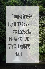 国网镇安县供电公司：绿色报装速度快 抗旱保电解民忧