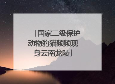 国家二级保护动物豹猫频频现身云南龙陵