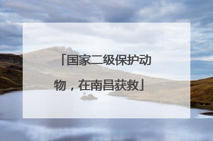 国家二级保护动物，在南昌获救