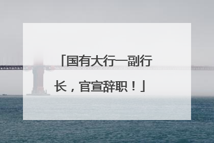 国有大行一副行长，官宣辞职！