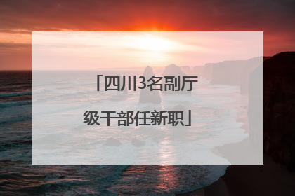 四川3名副厅级干部任新职