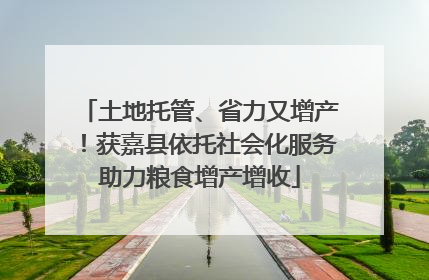 土地托管、省力又增产！获嘉县依托社会化服务助力粮食增产增收