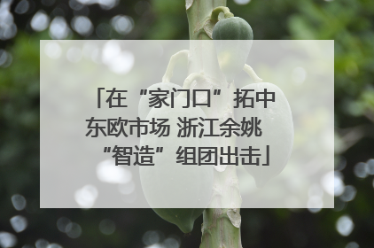 在“家门口”拓中东欧市场 浙江余姚“智造”组团出击