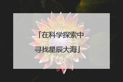 在科学探索中寻找星辰大海