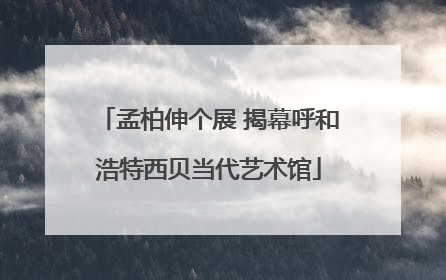 孟柏伸个展 揭幕呼和浩特西贝当代艺术馆