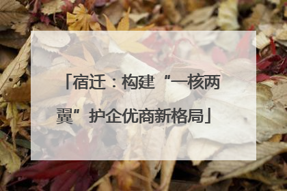 宿迁：构建“一核两翼”护企优商新格局
