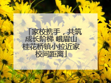 家校携手，共筑成长阶梯 峨眉山桂花桥镇小拉近家校间距离