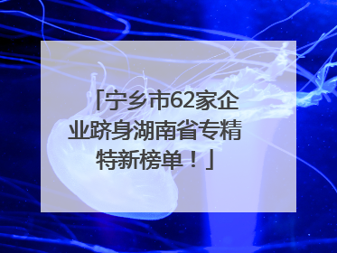 宁乡市62家企业跻身湖南省专精特新榜单！