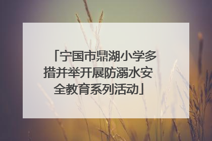 宁国市鼎湖小学多措并举开展防溺水安全教育系列活动