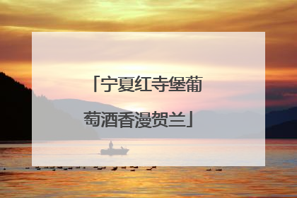宁夏红寺堡葡萄酒香漫贺兰