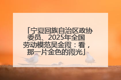 宁夏回族自治区政协委员、2025年全国劳动模范吴金霞：看，那一片金色的霞光