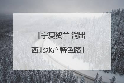 宁夏贺兰 淌出西北水产特色路