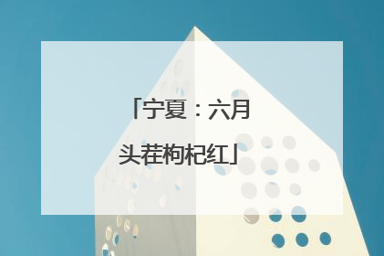 宁夏：六月头茬枸杞红