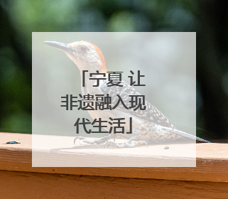 宁夏 让非遗融入现代生活