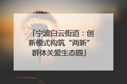 宁波白云街道：创新模式构筑“两新”群体关爱生态圈