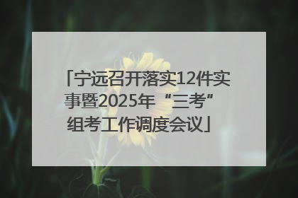 宁远召开落实12件实事暨2025年“三考”组考工作调度会议