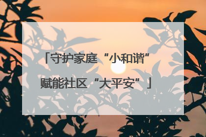 守护家庭“小和谐” 赋能社区“大平安”