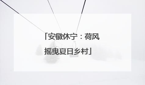安徽休宁：荷风摇曳夏日乡村