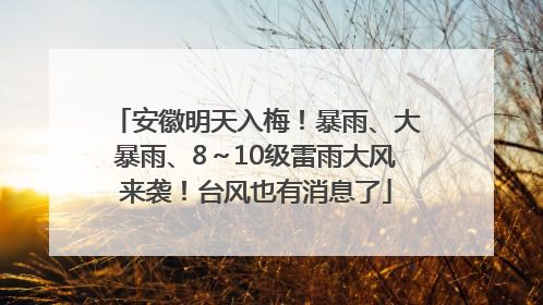 安徽明天入梅！暴雨、大暴雨、8～10级雷雨大风来袭！台风也有消息了