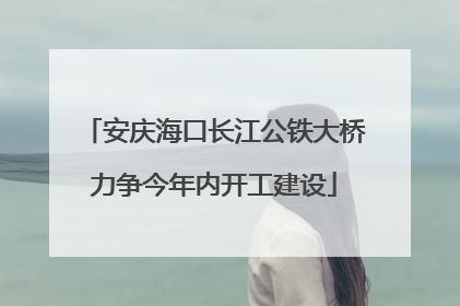 安庆海口长江公铁大桥力争今年内开工建设