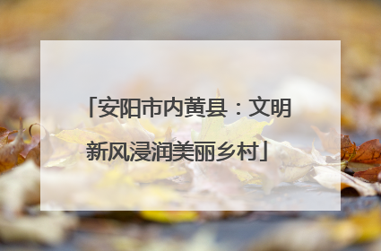 安阳市内黄县：文明新风浸润美丽乡村