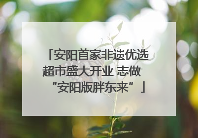 安阳首家非遗优选超市盛大开业 志做“安阳版胖东来”