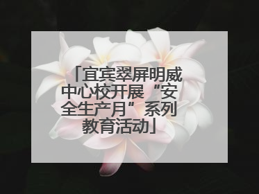 宜宾翠屏明威中心校开展“安全生产月”系列教育活动