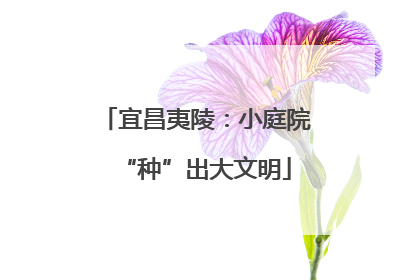 宜昌夷陵：小庭院“种”出大文明