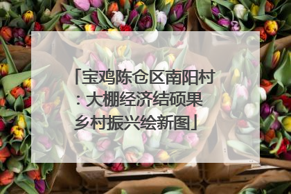 宝鸡陈仓区南阳村：大棚经济结硕果 乡村振兴绘新图