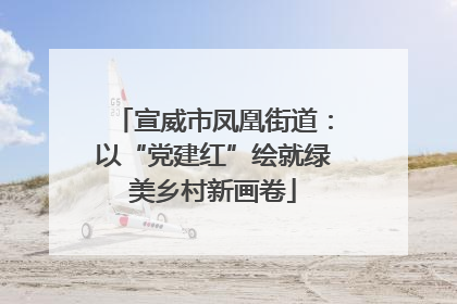 宣威市凤凰街道：以“党建红”绘就绿美乡村新画卷