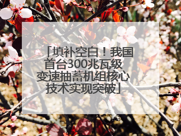 填补空白！我国首台300兆瓦级变速抽蓄机组核心技术实现突破